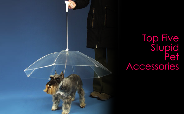 top five stupid pet accessories