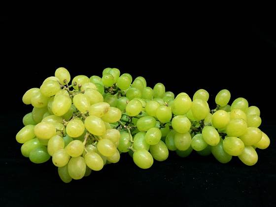 grapes