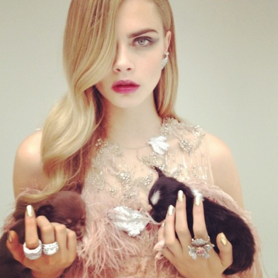 cara delevingne puppies