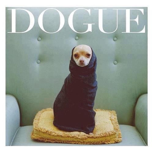 dog vogue