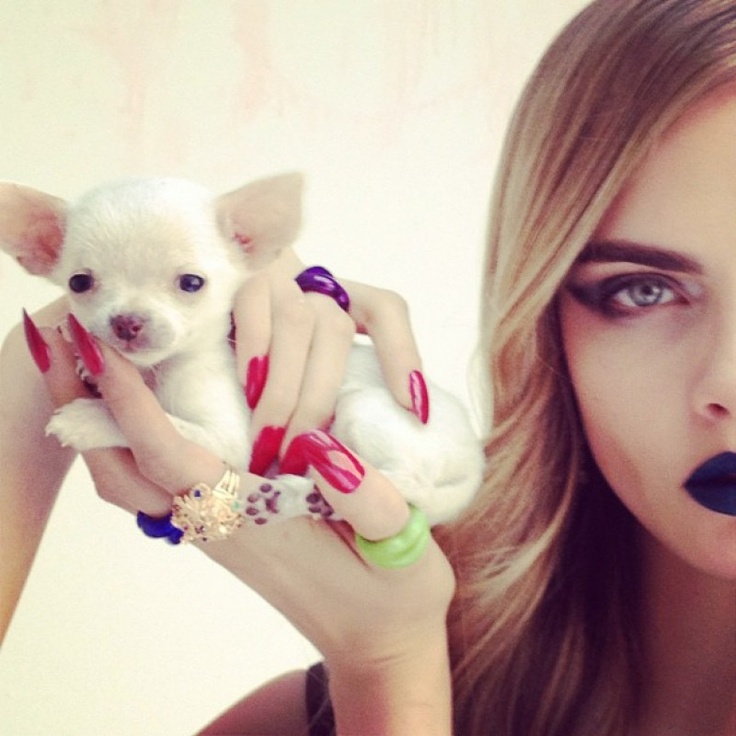 cara & puppy