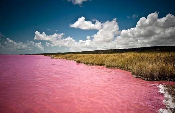Pink Lake Retba