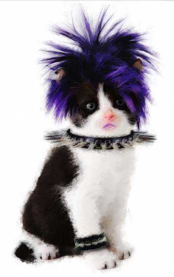 Met Gala 2013 punk kitten