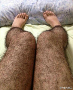 anti pervert hairy leggings china