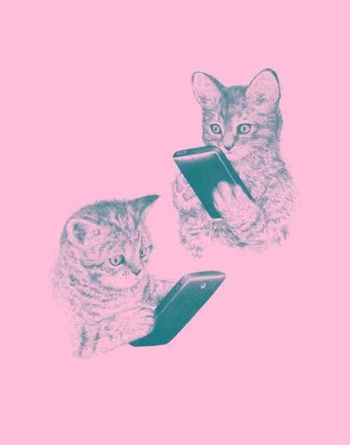 Text kittens