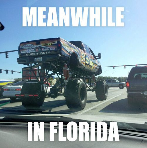 dumb laws florida