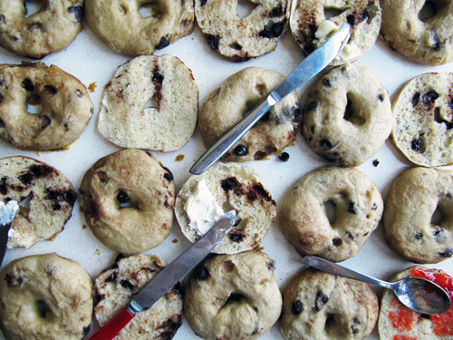 Chocolate Chip Bagels