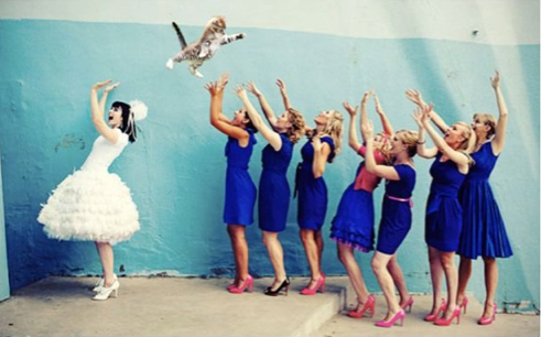 live cat bouquet funny