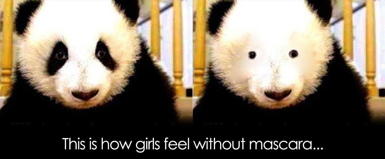 face without makeup panda bear