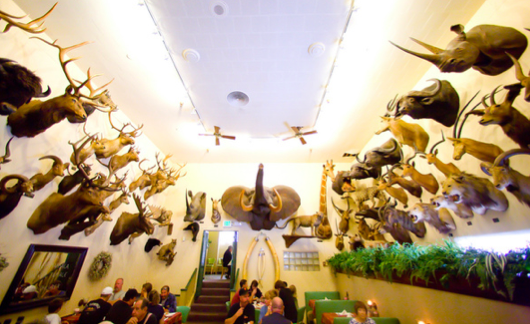 Fosters big horn restaurant