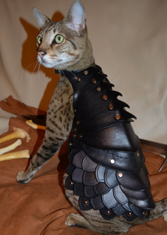 cat battle armor