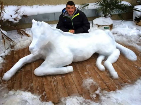 snow animals