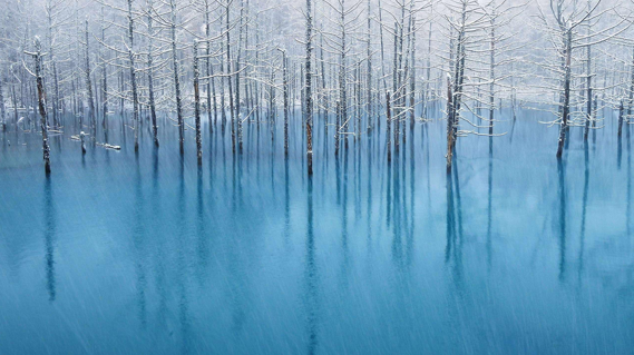 the blue pond, Hokkaido