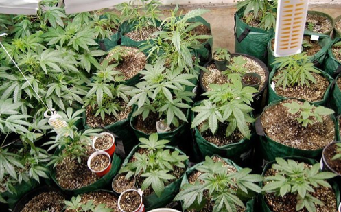 strange college majors