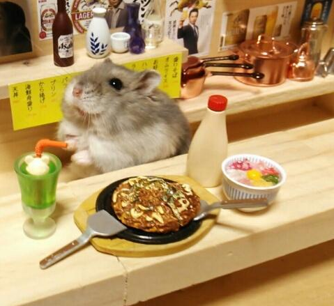 hamster bartender