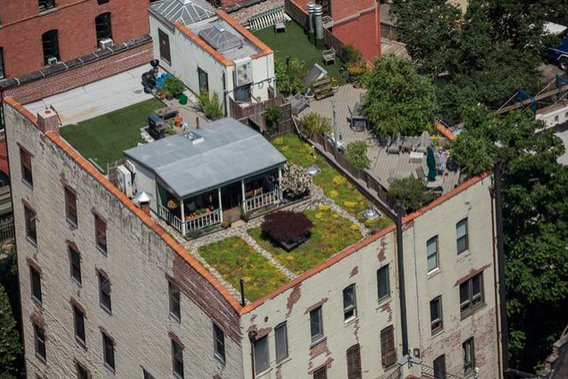 manhattan rooftop cabin