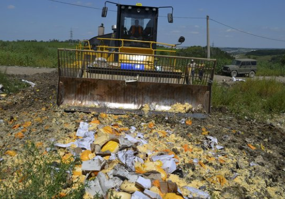 russian food import ban