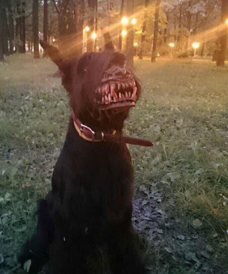 werewolf muzzle