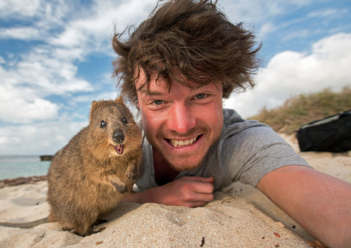 hot guy animal selfies