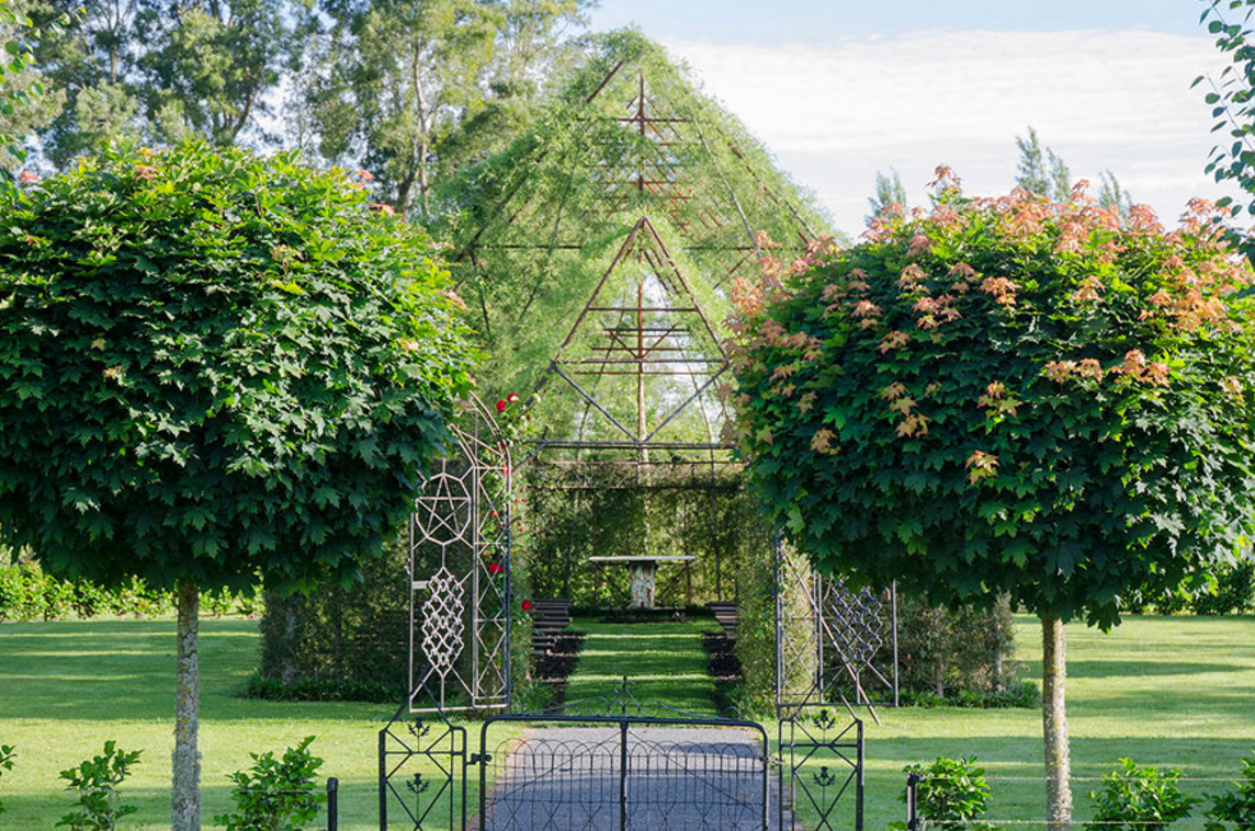 tree church