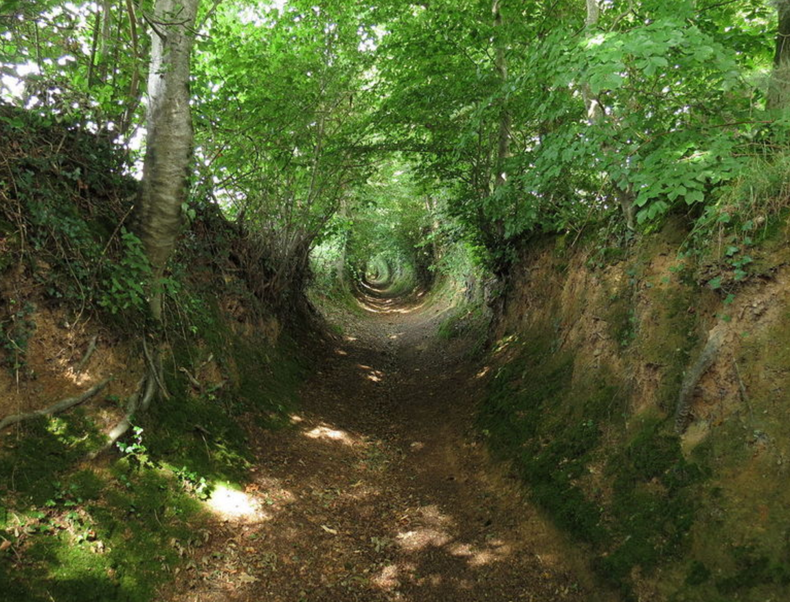 holloways