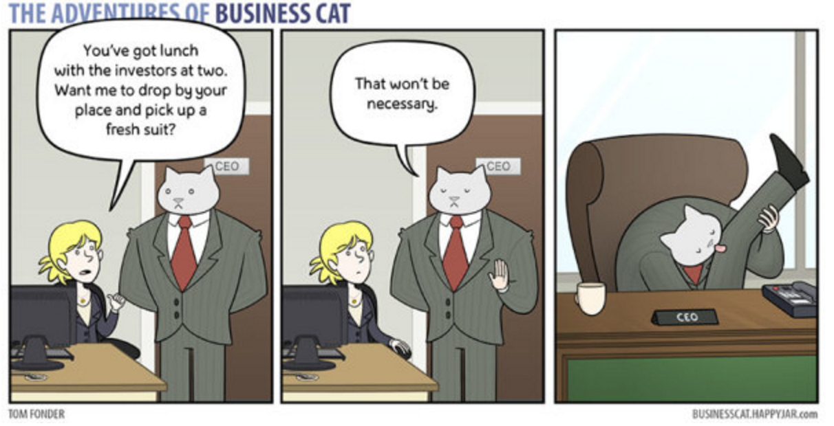 business cat