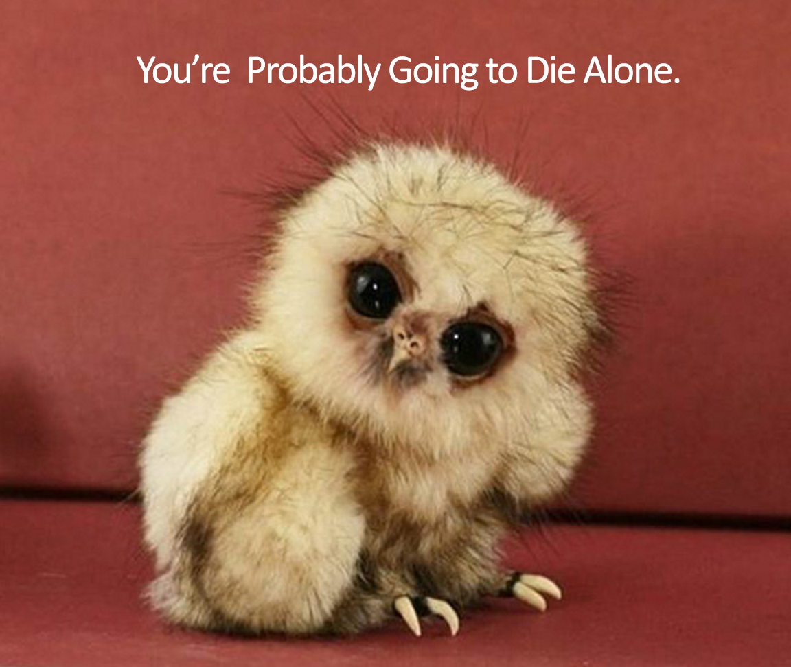 hard news by baby animals