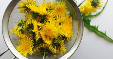 dandelion tea before bed