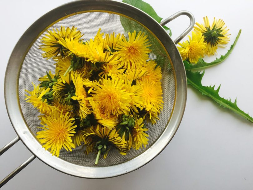 dandelion tea before bed