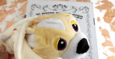 cutitos cuddly burritos