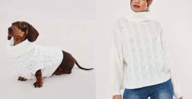 dog and human matching outfits