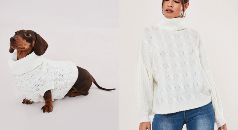 dog and human matching outfits